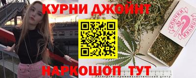 сатива Кингисепп