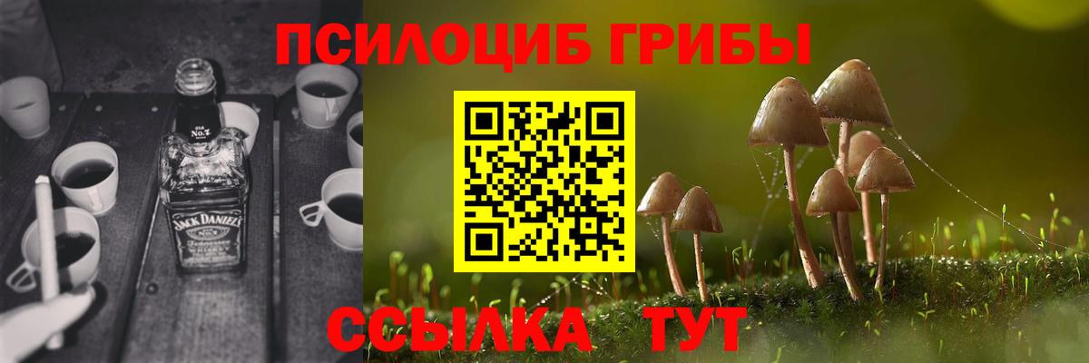 Псилоцибиновые грибы мухоморы Курчатов